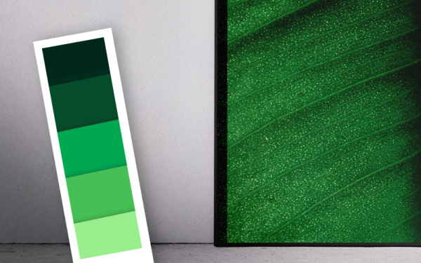 Color verde
